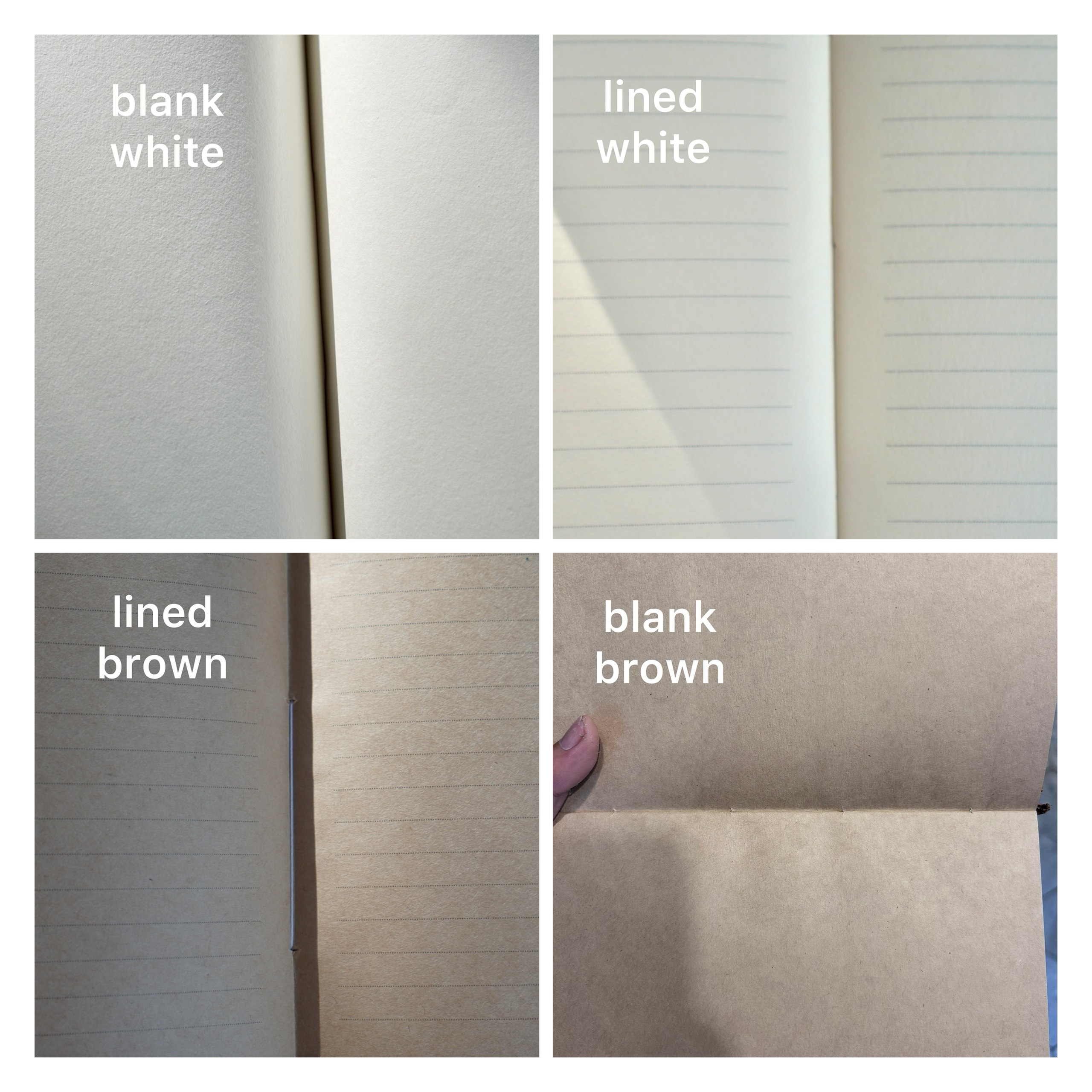 Natural Dyes Notebook